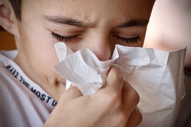 influensa allergi
